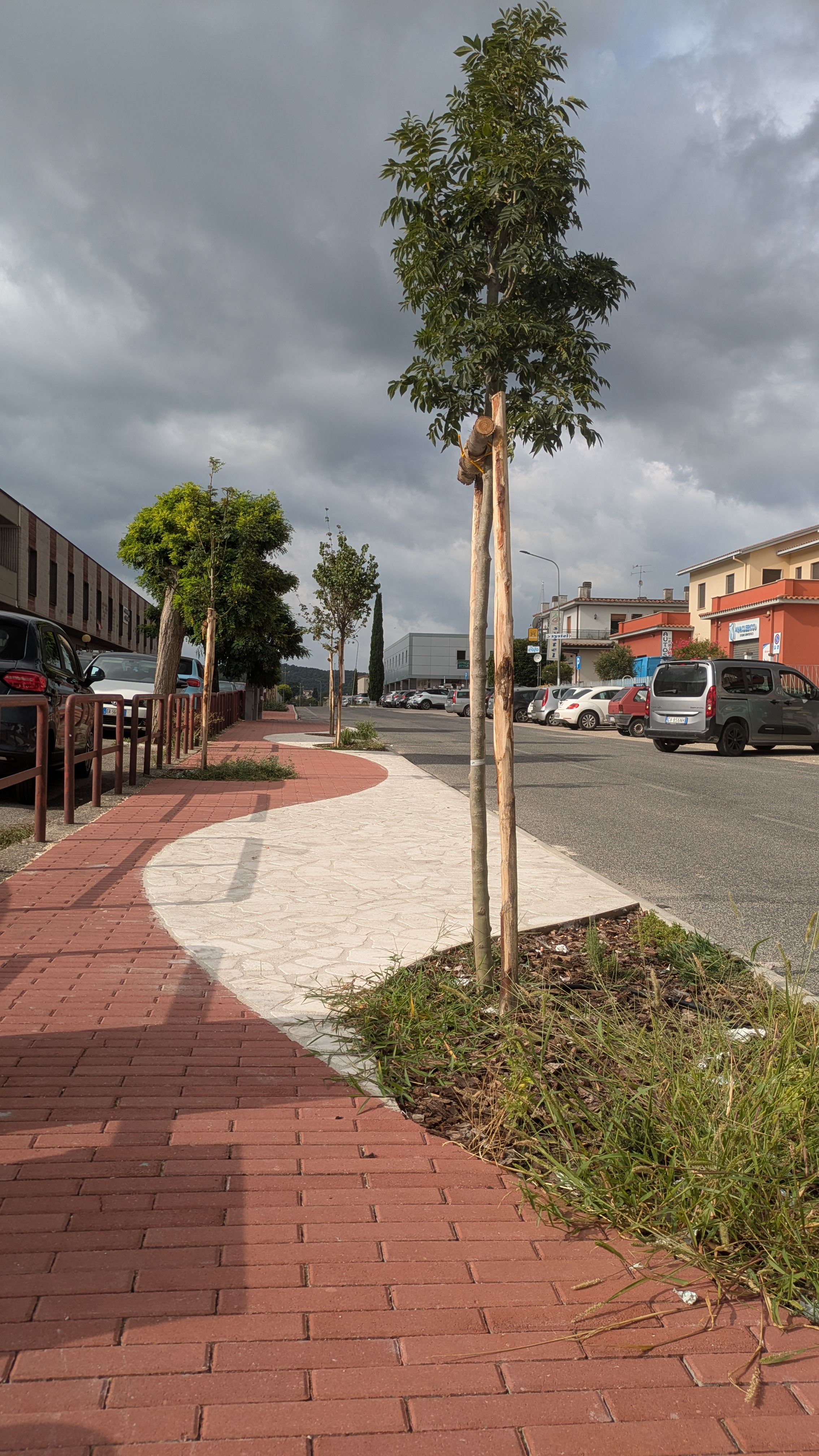 Riqualificazione Viale Europa
